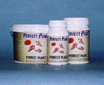 Perfekt plant